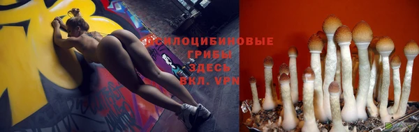 МДПВ Снежинск