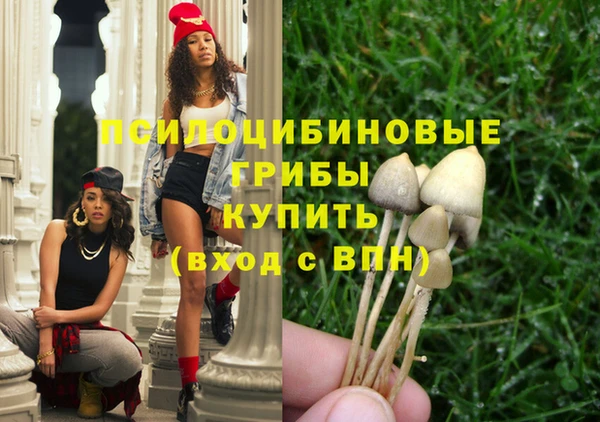 метамфетамин Аркадак