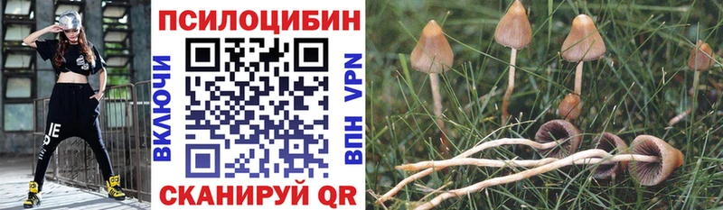ссылка на мегу вход  Верхнеуральск  Галлюциногенные грибы мицелий 